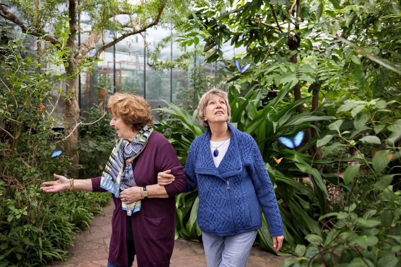 Twee dames lopen verwonderd en omringd door vlinders door de vlindertuin in Artis